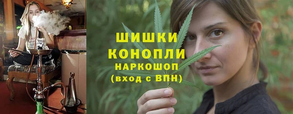 молекула духа Кулебаки