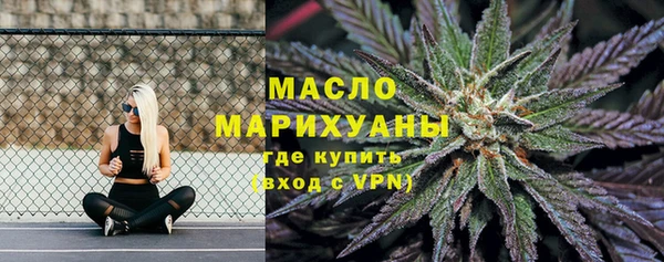 молекула духа Кулебаки
