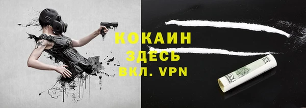молекула духа Кулебаки