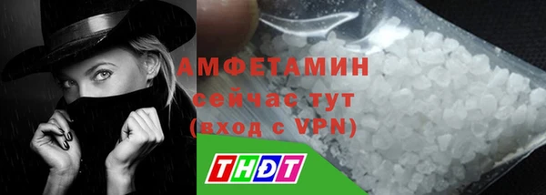 молекула духа Кулебаки