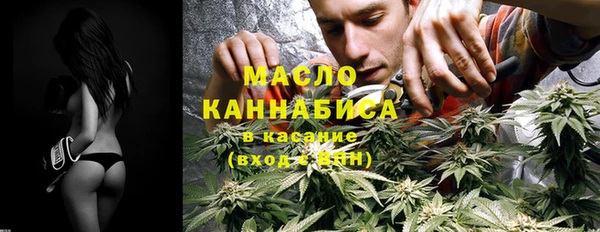 молекула духа Кулебаки