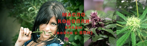 молекула духа Кулебаки